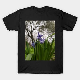 Winterflowers T-Shirt